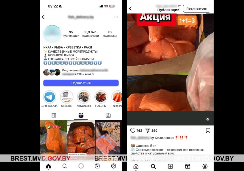 Жительница Бреста хотела купить красную рыбу по низкой цене, но стала жертвой мошенников Жительница Бреста хотела купить красную рыбу по низкой цене, но стала жертвой мошенников