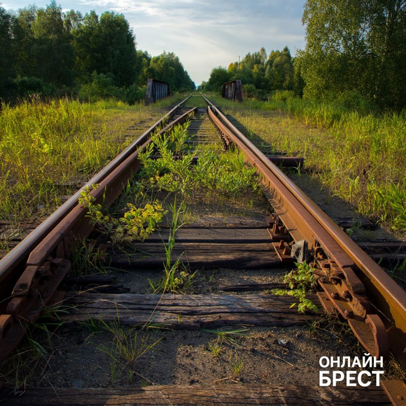 Как два «предпринимателя» из Жабинковского района хотели разбогатеть на металле