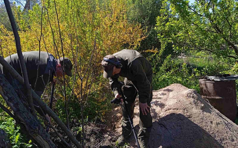 Жительница Барановичей в саду обнаружила целый арсенал боеприпасов Жительница Барановичей в саду обнаружила целый арсенал боеприпасов