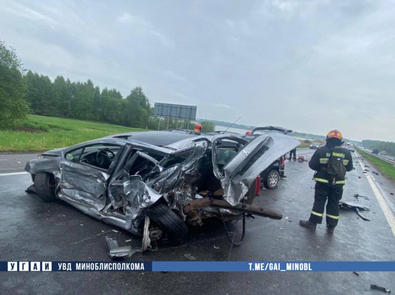 Косуля спровоцировала серьезную аварию трех автомобилей на трассе М1