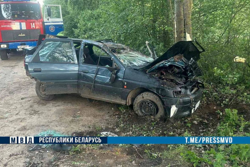 Жуткое ДТП унесло две жизни в Брестской области Жуткое ДТП унесло две жизни в Брестской области