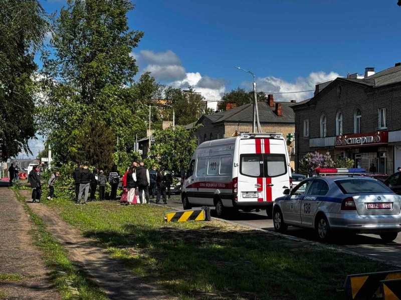 В Барановичах дерево упало на движущийся автомобиль