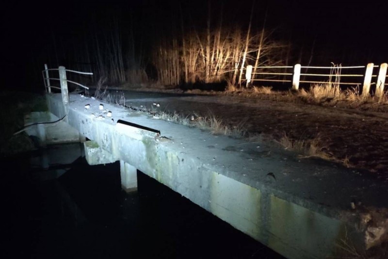 17-летняя девушка утонула при аварии под Лунинцем. Вынесен приговор водителю