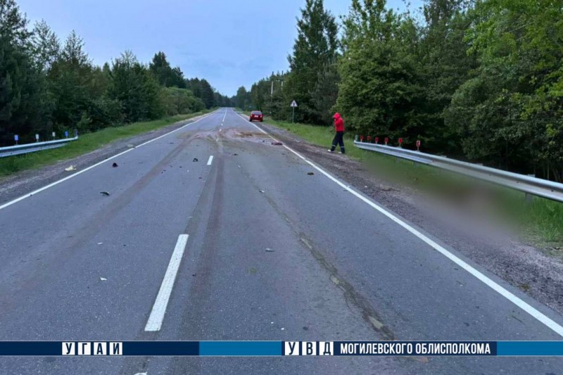 В Беларуси погиб мотоциклист – он столкнулся с лосем В Беларуси погиб мотоциклист – он столкнулся с лосем