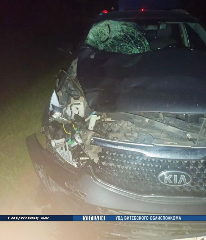 В Беларуси водитель вышел осмотреть машину после ДТП с лосем, и его насмерть сбил другой автомобиль В Беларуси водитель вышел осмотреть машину после ДТП с лосем, и его насмерть сбил другой автомобиль