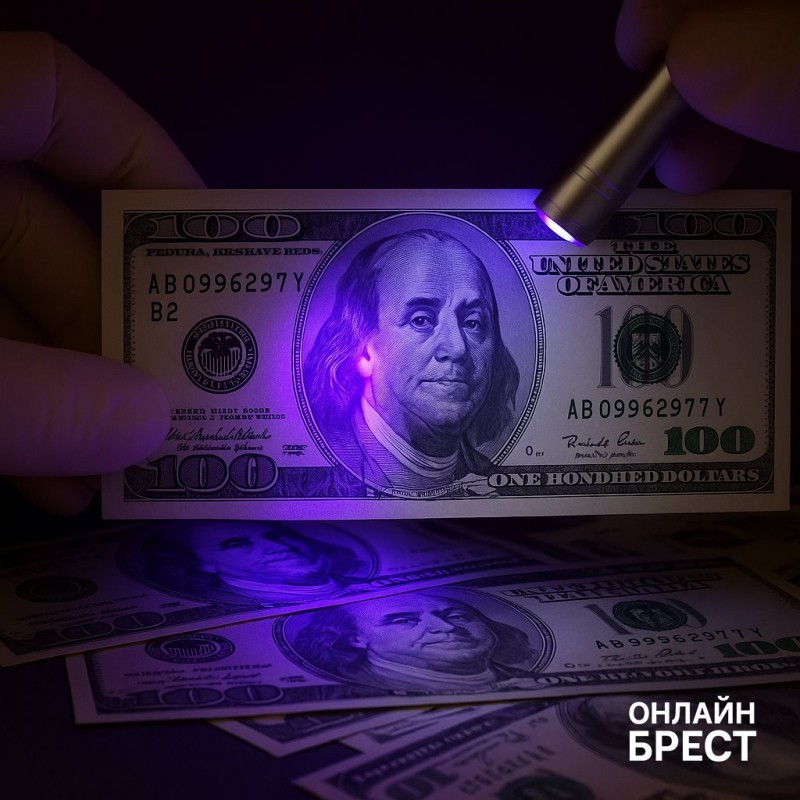 Брестчанин вернулся из Польши с фальшивыми долларами Брестчанин вернулся из Польши с фальшивыми долларами