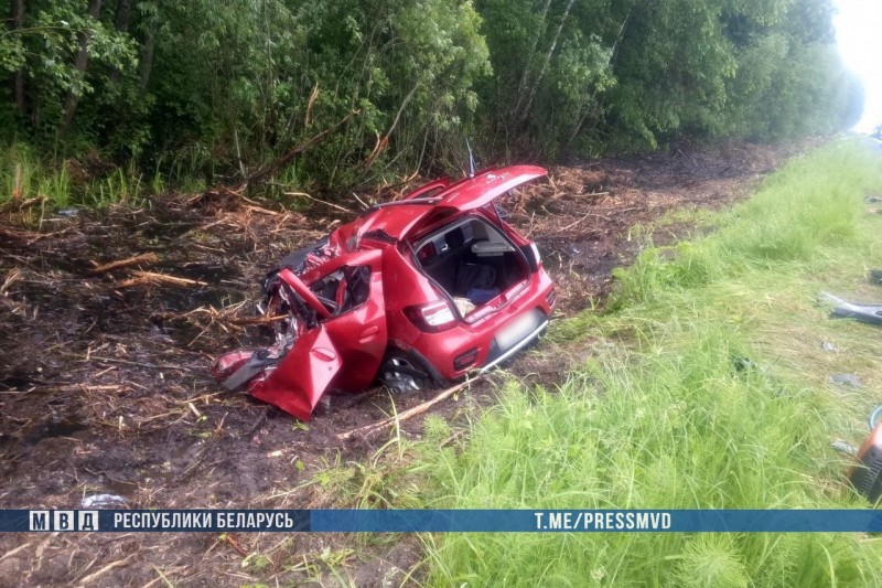 Страшное ДТП произошло на Гомельщине — трое погибших