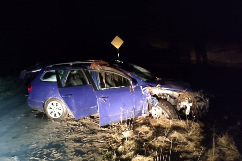 17-летняя девушка утонула при аварии под Лунинцем. Вынесен приговор водителю