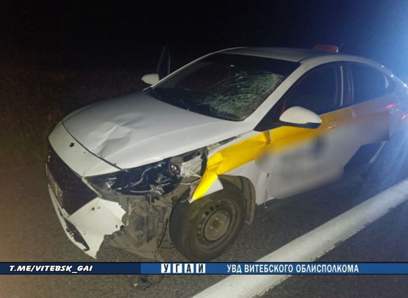 В Беларуси водитель вышел осмотреть машину после ДТП с лосем, и его насмерть сбил другой автомобиль В Беларуси водитель вышел осмотреть машину после ДТП с лосем, и его насмерть сбил другой автомобиль