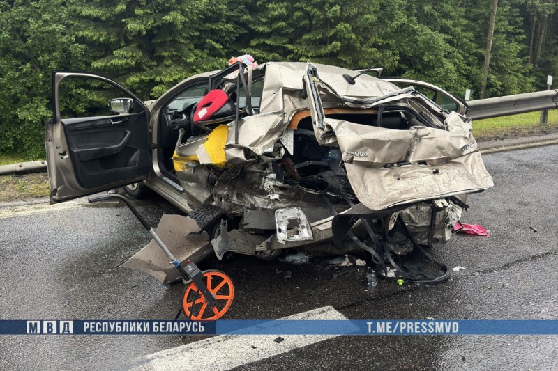 Четверо погибших, среди них двое детей — подробности страшного ДТП