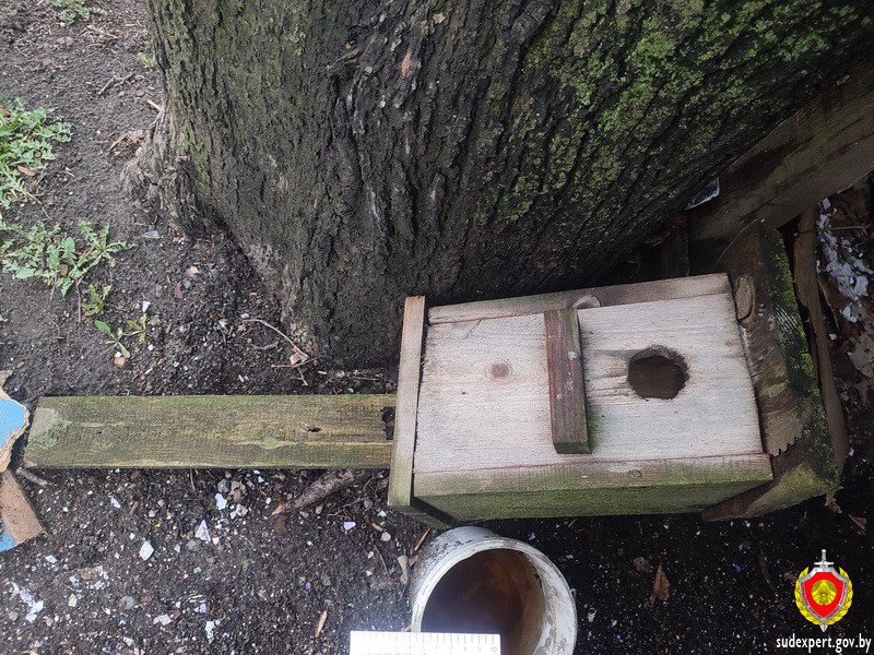 В Лунинце мужчина получил тяжкие телесные повреждения от упавшего скворечника В Лунинце мужчина получил тяжкие телесные повреждения от упавшего скворечника