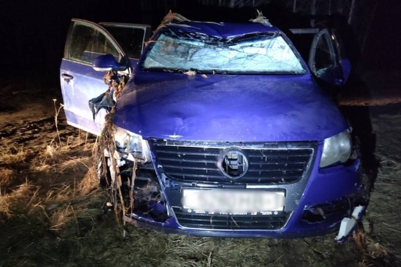 17-летняя девушка утонула при аварии под Лунинцем. Вынесен приговор водителю