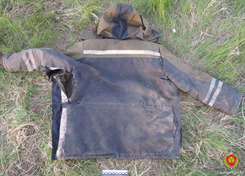 В Беларуси бык напал на пенсионера — мужчина умер В Беларуси бык напал на пенсионера — мужчина умер