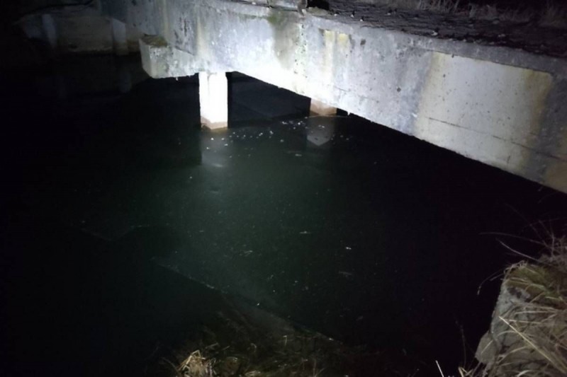 17-летняя девушка утонула при аварии под Лунинцем. Вынесен приговор водителю