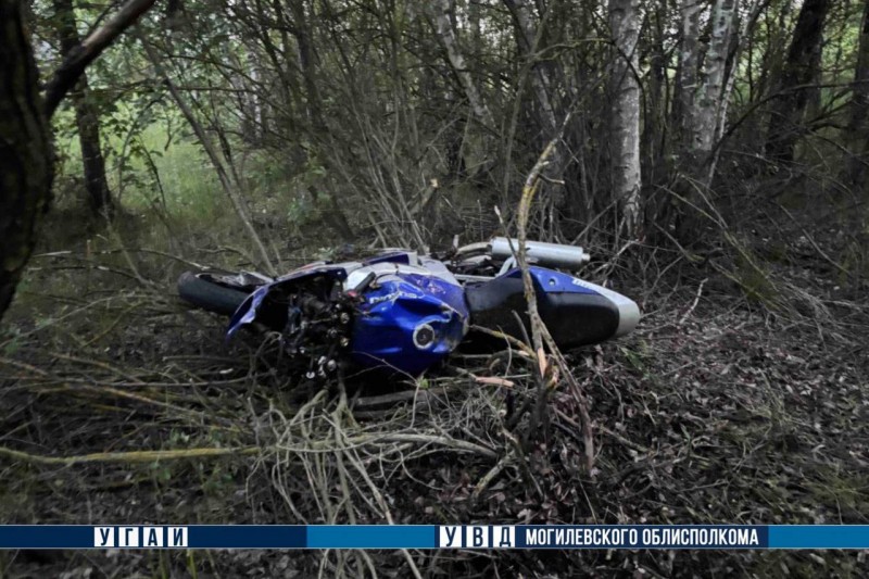 В Беларуси погиб мотоциклист – он столкнулся с лосем В Беларуси погиб мотоциклист – он столкнулся с лосем