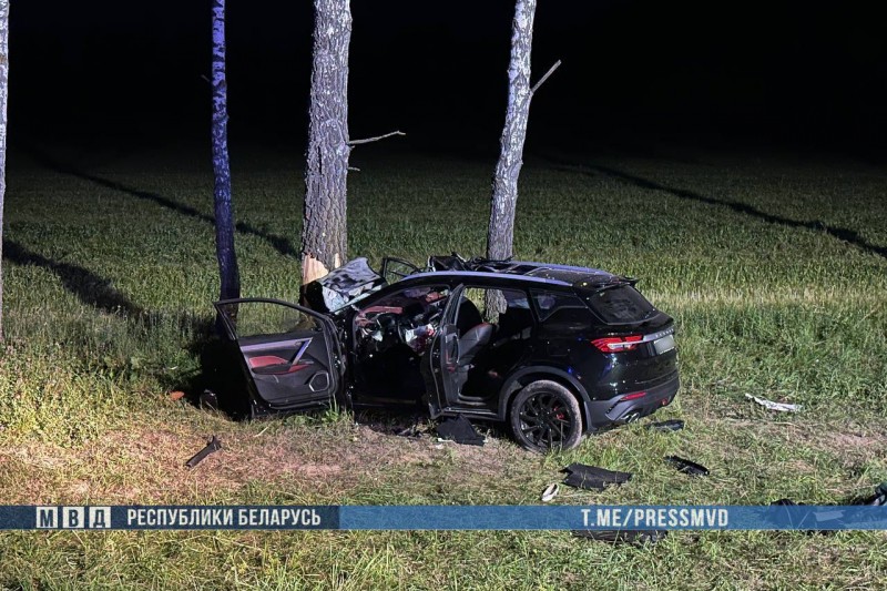 Двое погибли в страшном ДТП с лосем — подробности ДТП