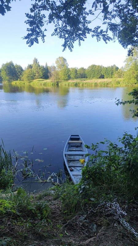 В Жабинковском районе обнаружено тело утонувшего мужчины